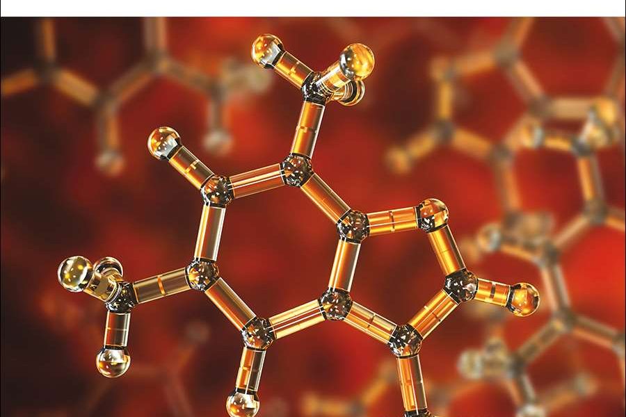 food–function-journal-cover