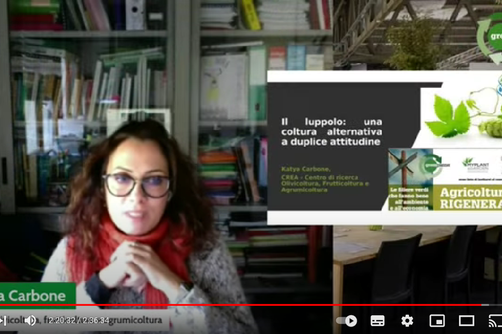 luppolo_img_video22feb2023